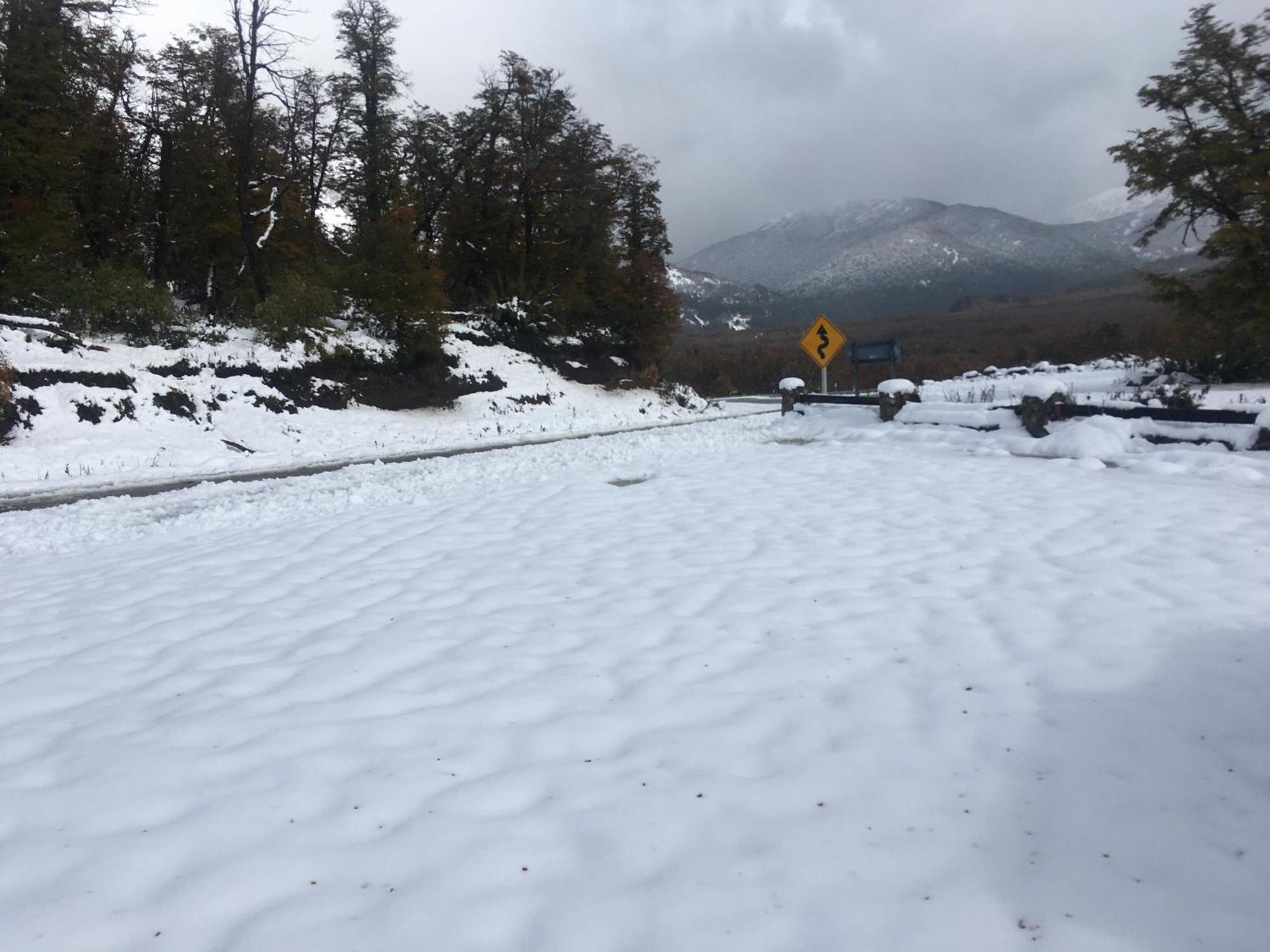 Rahue, Monoambiente Centrico Con Patio Propio Διαμέρισμα San Martín de los Andes Εξωτερικό φωτογραφία