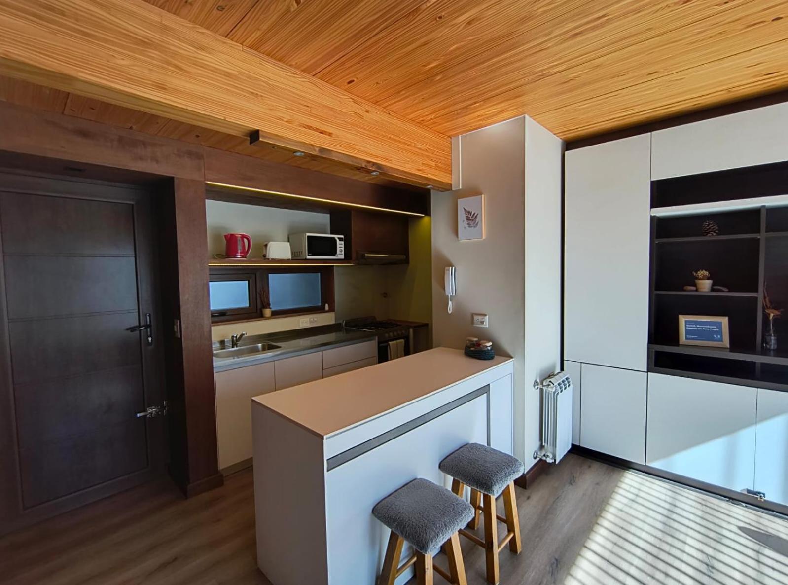Rahue, Monoambiente Centrico Con Patio Propio Διαμέρισμα San Martín de los Andes Εξωτερικό φωτογραφία